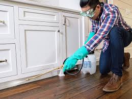 Best Real Estate Pest Inspections  in Iron Mountain, MI