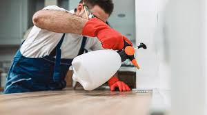 Best Commercial Pest Control  in Iron Mountain, MI