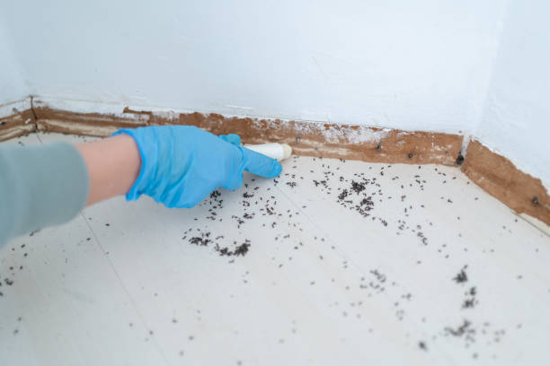 Best Pest Control for Multi-Family Homes  in Iron Mountain, MI